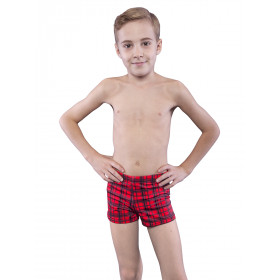 Плавки-шорты для мальчика, арт.Classic big , возраст от 10 до 14 лет